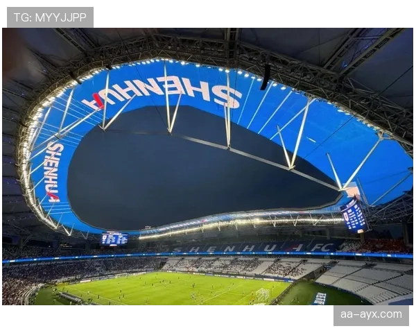 特罗萨德效率价值解析：被低估的长期贡献