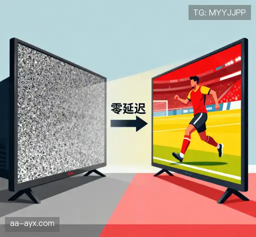 我们的核心优势